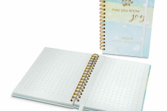 May You Know Joy Journal