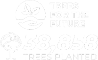 Trees for the Future | 38,858 trees planted