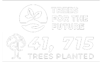 Trees for the Future | 41,715 trees planted